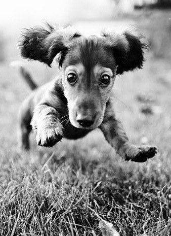 Юлия Уразова-Мухамедьянова | Тюмень