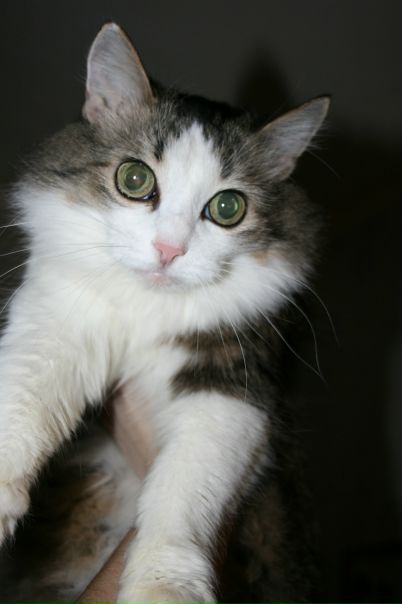 №183, Юлия Подыниглазова, 38 лет, Набережные Челны №183, Юлия Подыниглазова, 38 лет, Набережные Челны