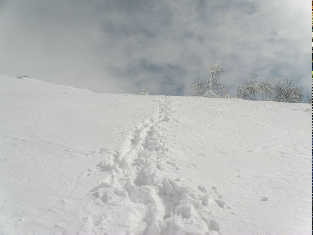 Мария Червоненко | Донецк
