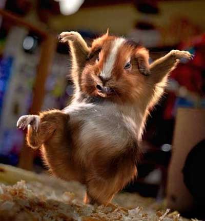 Игорь Ковалёв | Львов