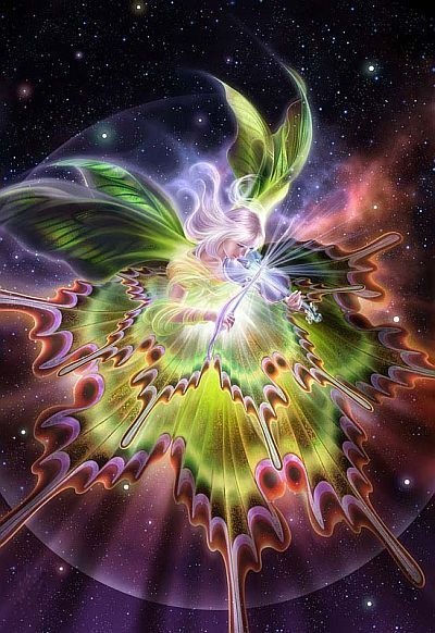 №113, Владлена Москварцева, Санкт-Петербург №113, Владлена Москварцева, Санкт-Петербург