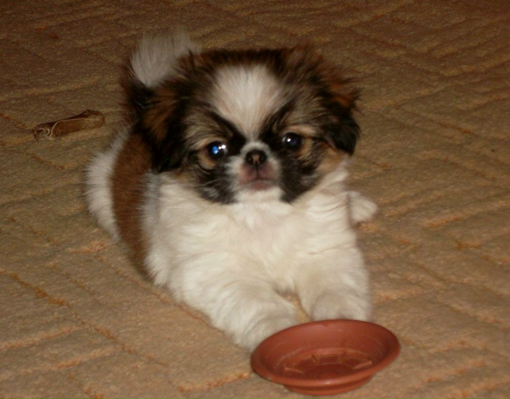 Людмила Билялова | Арзамас