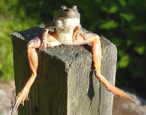 Кирилл Матьков | Голицыно