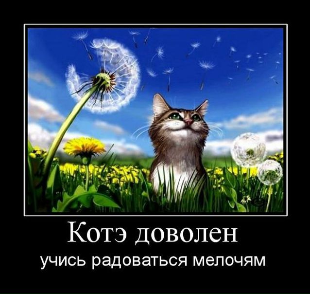 №179, Юлия Мецлер, Псков №179, Юлия Мецлер, Псков