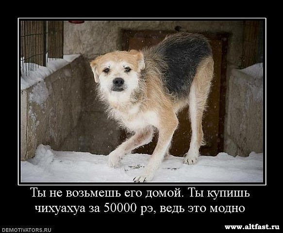 №57, Юлия Игоревна, Харьков №57, Юлия Игоревна, Харьков