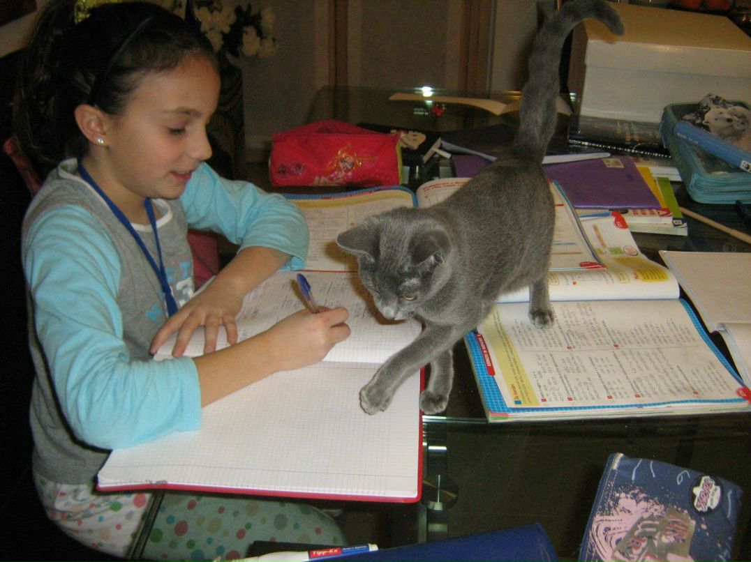 Лора Гонобоблева | Санкт-Петербург