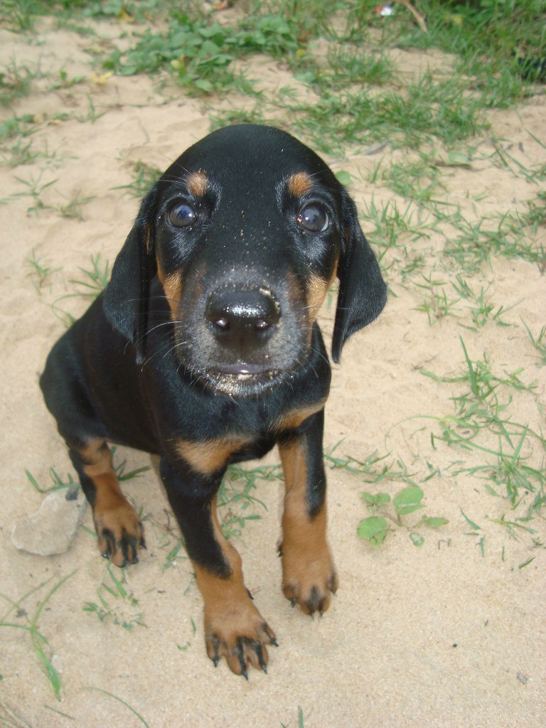 Ольга Андрушевич | Москва