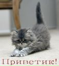 №1 Кристина Не 11.06: профиль, фото, статус - ВКонтакте №1 Кристина Не 11.06: профиль, фото, статус - ВКонтакте