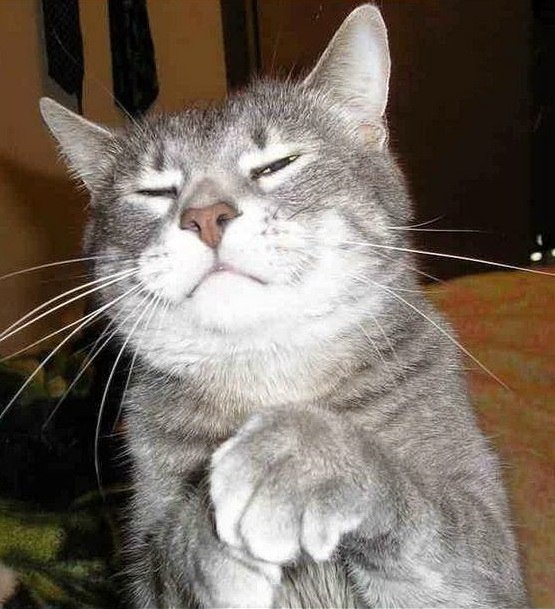 Игорь Сергеевич | 