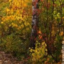 №122, Олег Водинов, Череповец №122, Олег Водинов, Череповец