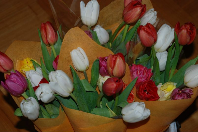 Мария Деменьшина | Пермь