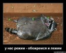 №14, Юлия Белоусова, Люберцы, Россия