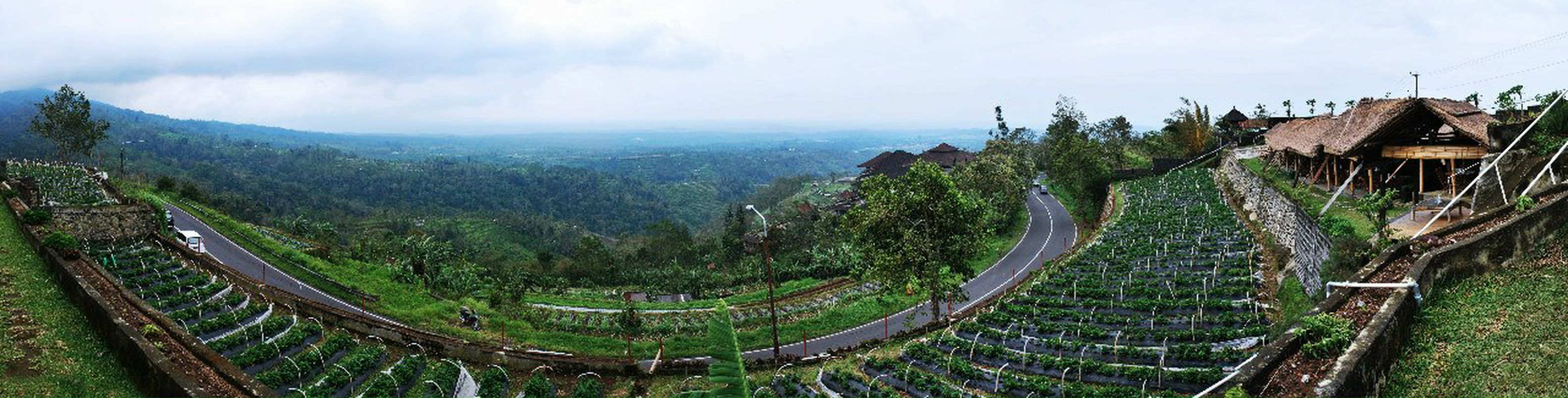 Наталья Эккарт | Солнечногорск