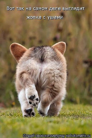 Елена Дёмина | Москва