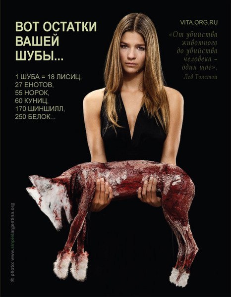 Зарик Зариков jo K e.) | Херсон