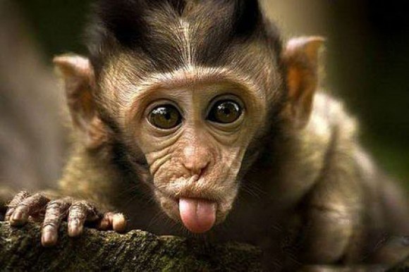 Сергей Иванов | Санкт-Петербург