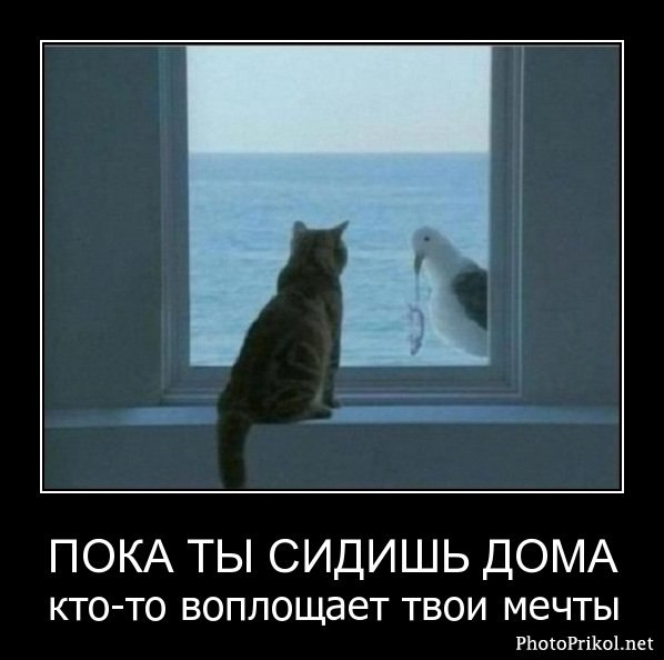 Анна Манохина | 