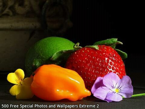 Ирина Шатунова | Москва