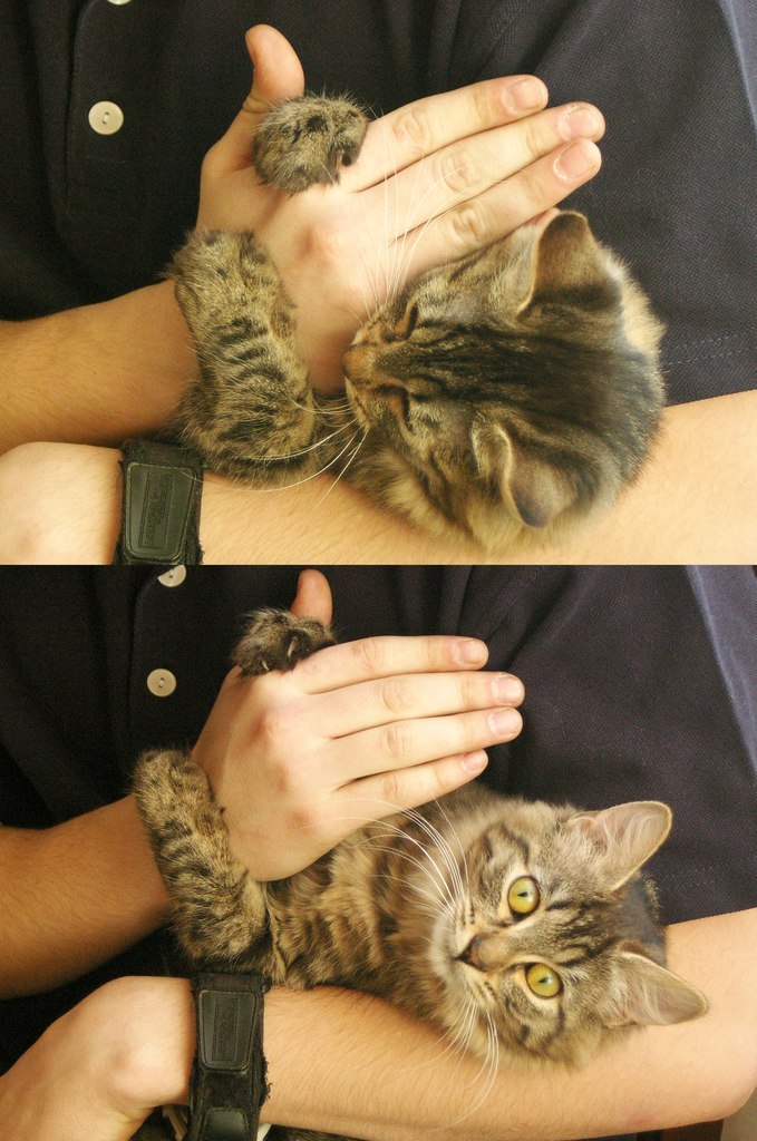 Женек Ярошенко | Власиха