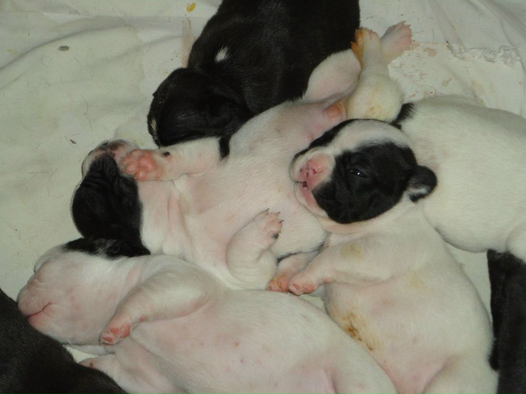 Александр Цап | Харьков