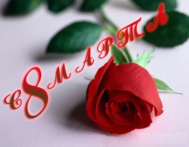 Владимир Новиков | Екатеринбург