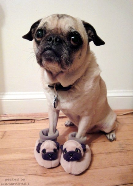 Артем Семенов ~~GRUPOK~~ | Казань