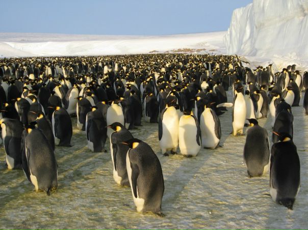 №30, Артём Горяинов, Россошь №30, Артём Горяинов, Россошь