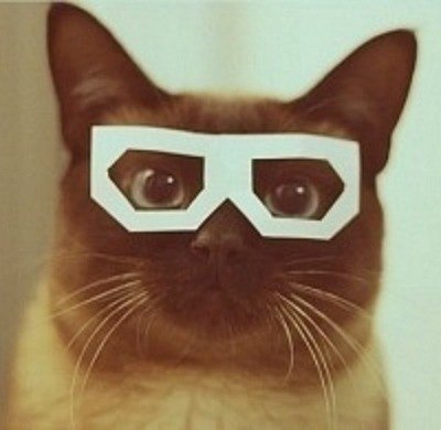 Денис Няшкин :3 | Днепр (Днепропетровск)