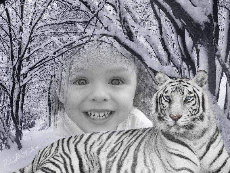 Анастасия Шарко | Стаханов