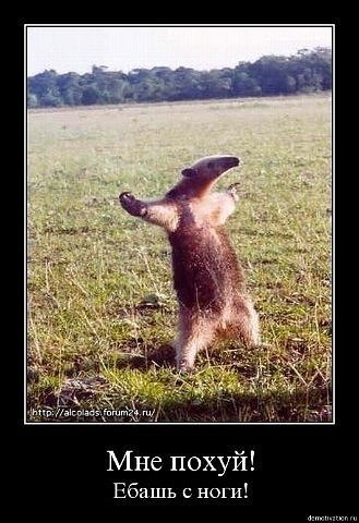 Серёга Лищук | Хмельницкий