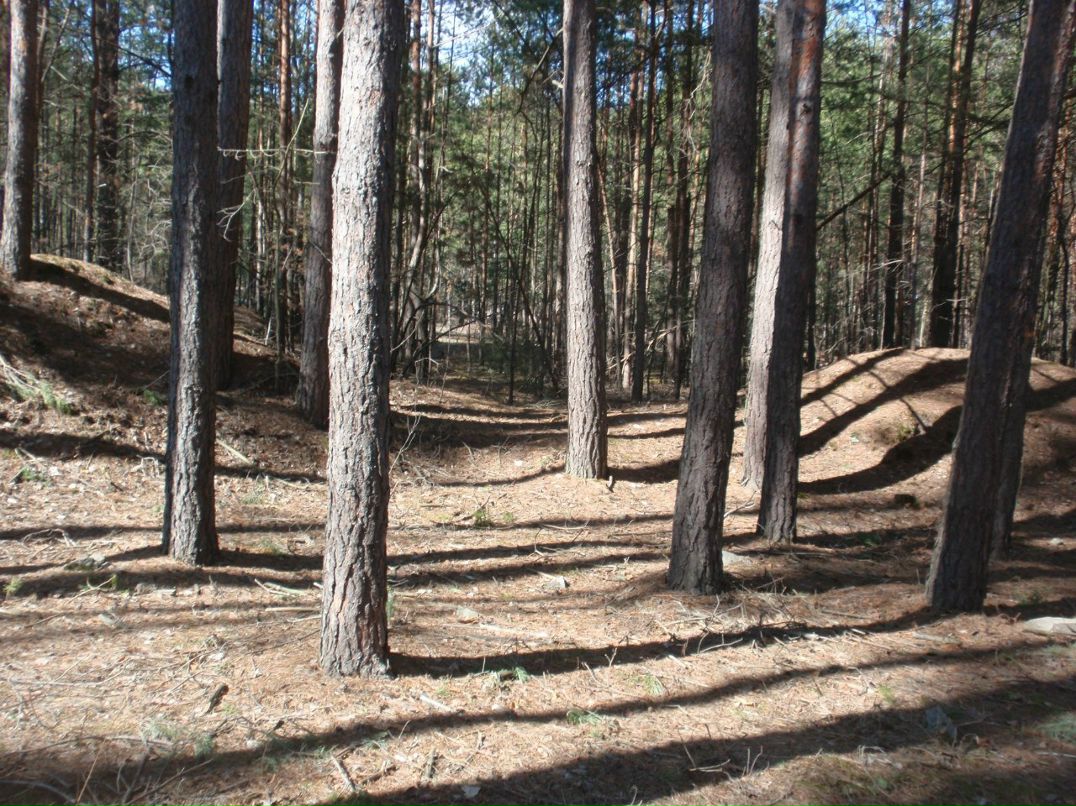 Борис Блаженний | Киев