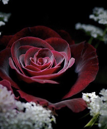 Татьяна Ткачёва | Астрахань