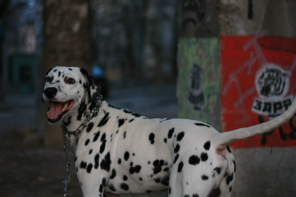 Славик Аджигитов | Москва