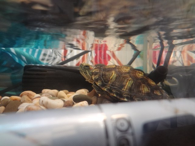 worm87 Xxxxx | Санкт-Петербург