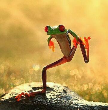 Матвей Гордон | 