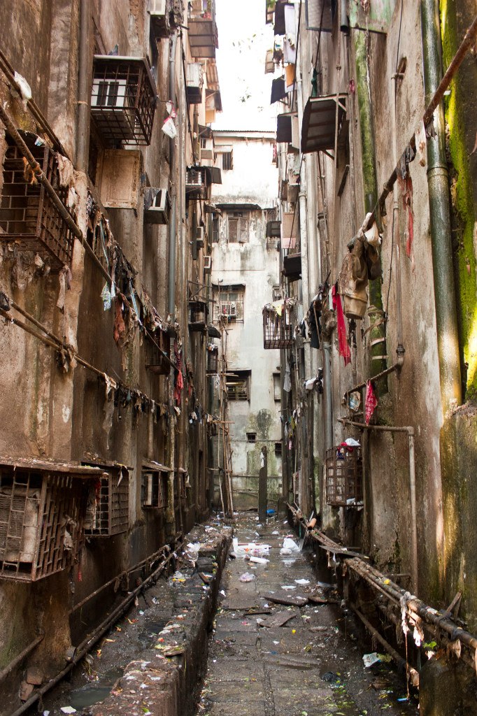 Александр Залесов zall | Москва