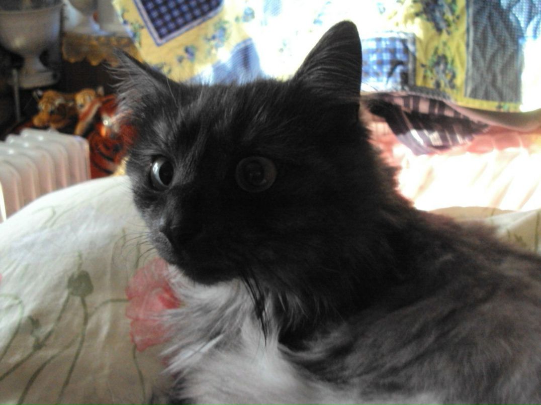 Света Успенская | Санкт-Петербург