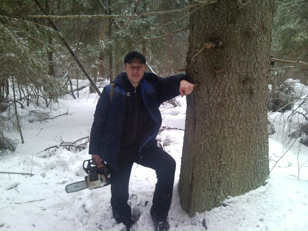 Михаил Логинов | Кувшиново