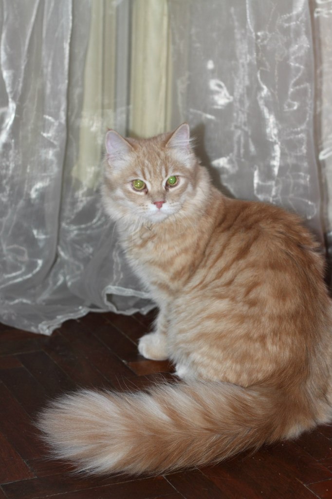 Катя Князева | Санкт-Петербург