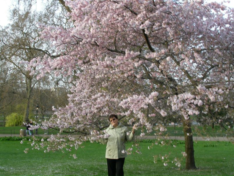 №39, Нина Бенедичук, 77 лет, Бердичев №39, Нина Бенедичук, 77 лет, Бердичев