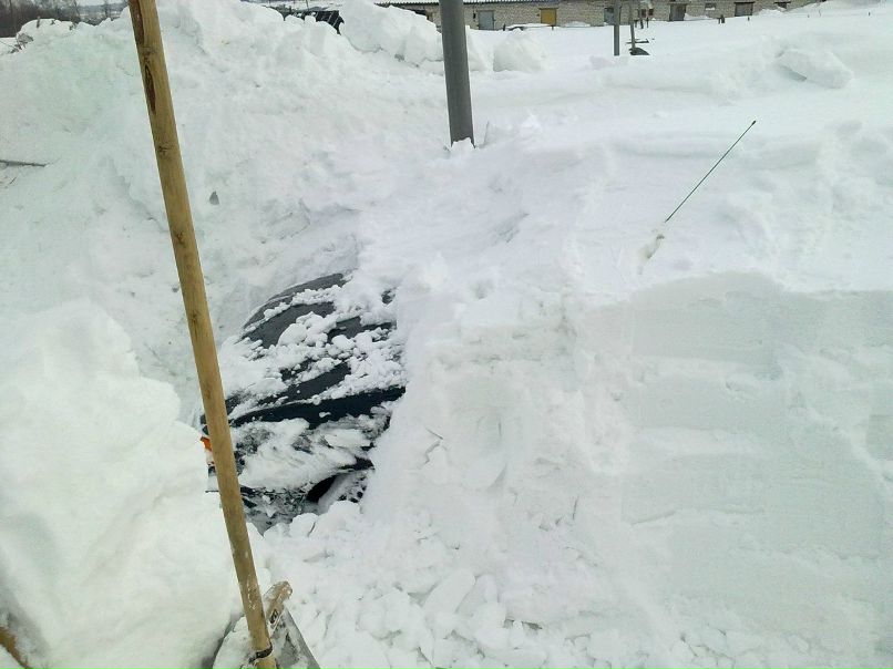 Александр Коньков | Холязино