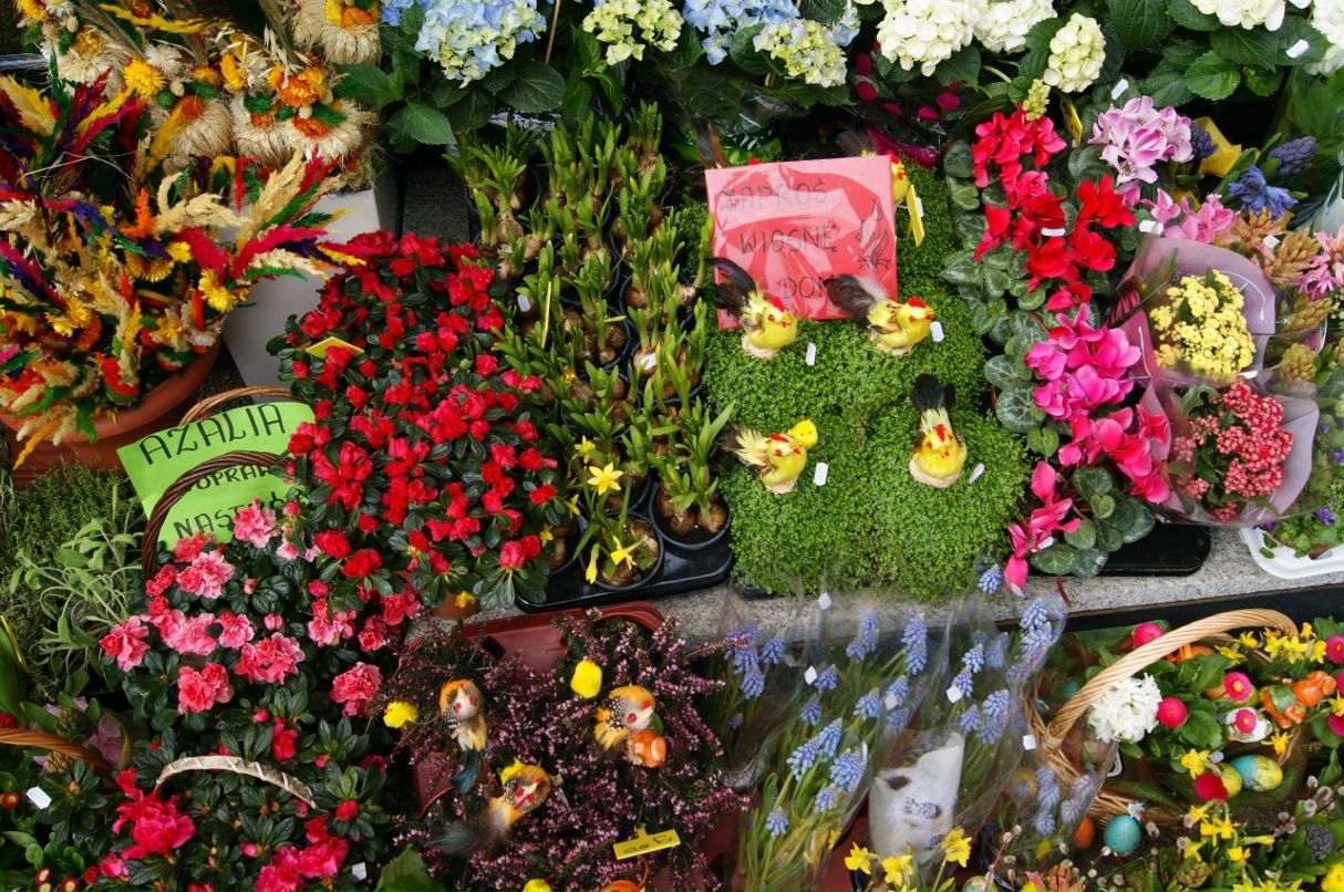 Гульнара Миргалеева | Уфа