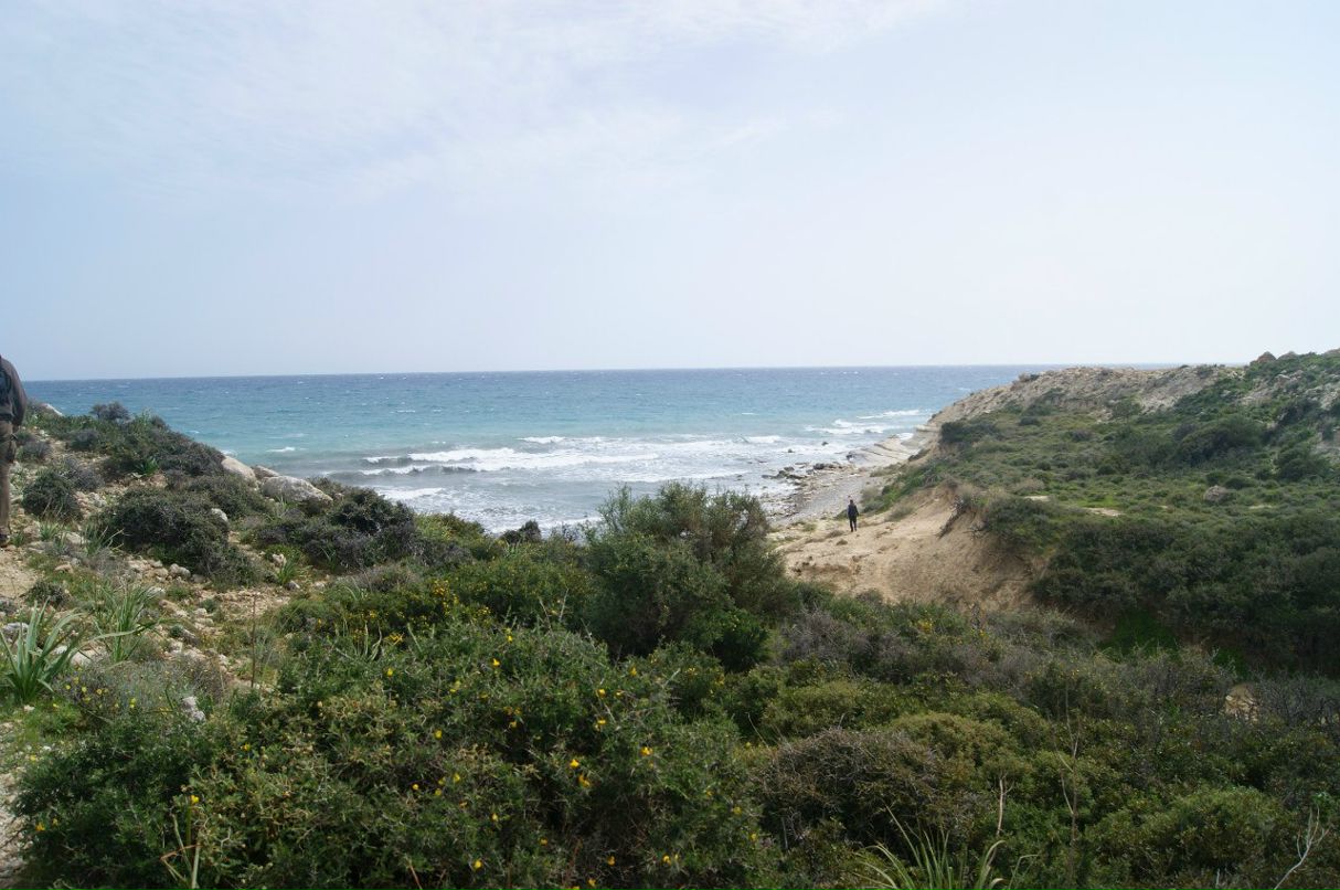 Анатолий Зырянов | Москва