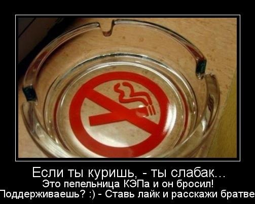 №6, Артур Колмагорцев, Запорожье №6, Артур Колмагорцев, Запорожье