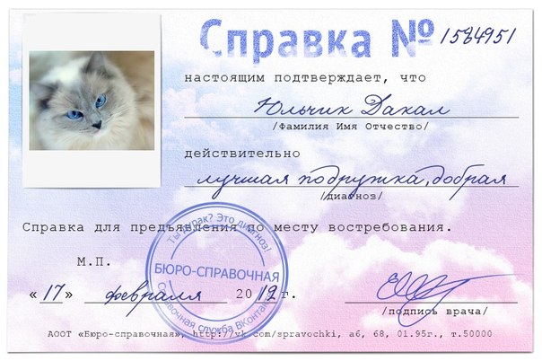 №39, Камилла Камская, Иерусалим №39, Камилла Камская, Иерусалим