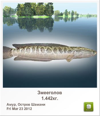 Иван Захаров | Владимир