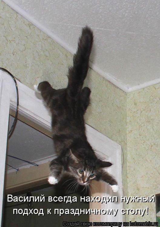 Денис Иванов | Волгоград