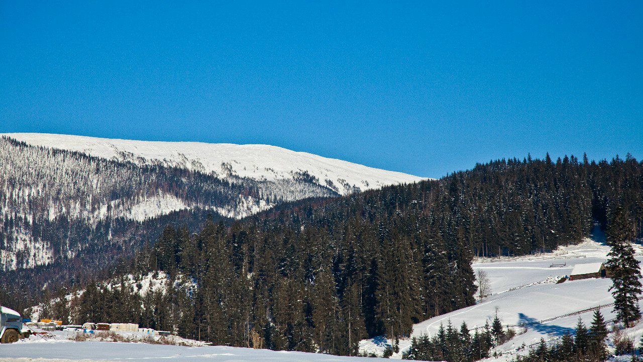 Сергей Кузько | Екатеринбург