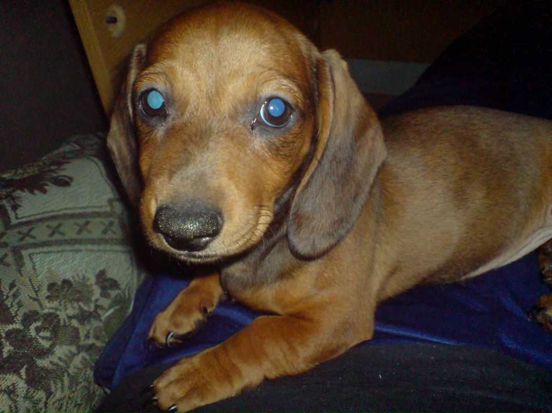 Кристина Аврорская | Новосибирск