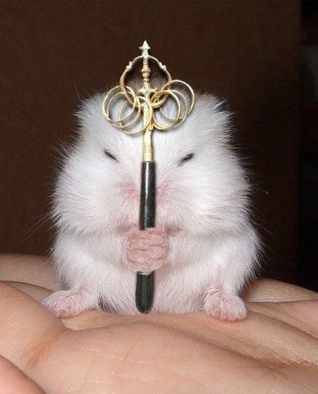 Николай Головин | Апостолово